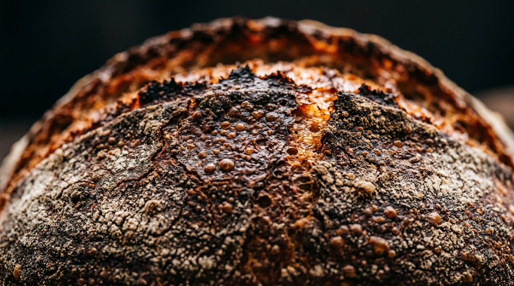 Close-up of a dark blistered sourdough crust